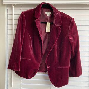 LOFT Woman Jacket New